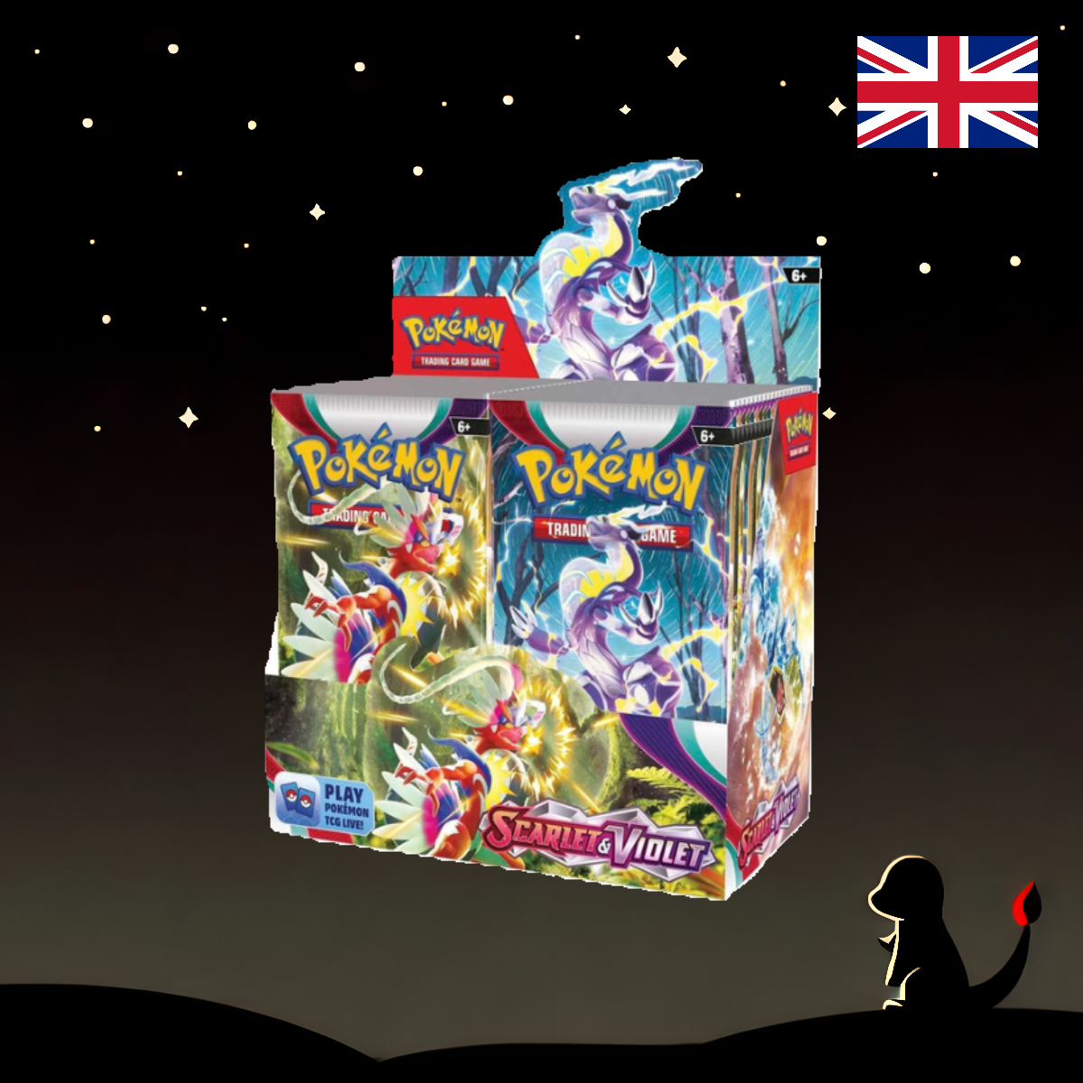 Scarlet & Violet Display EN