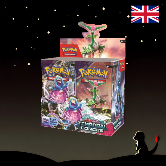 Temporal Forces Display EN